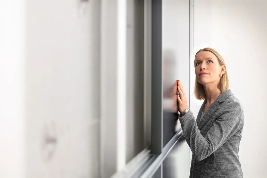 StoVentec Photovoltaics Inlay